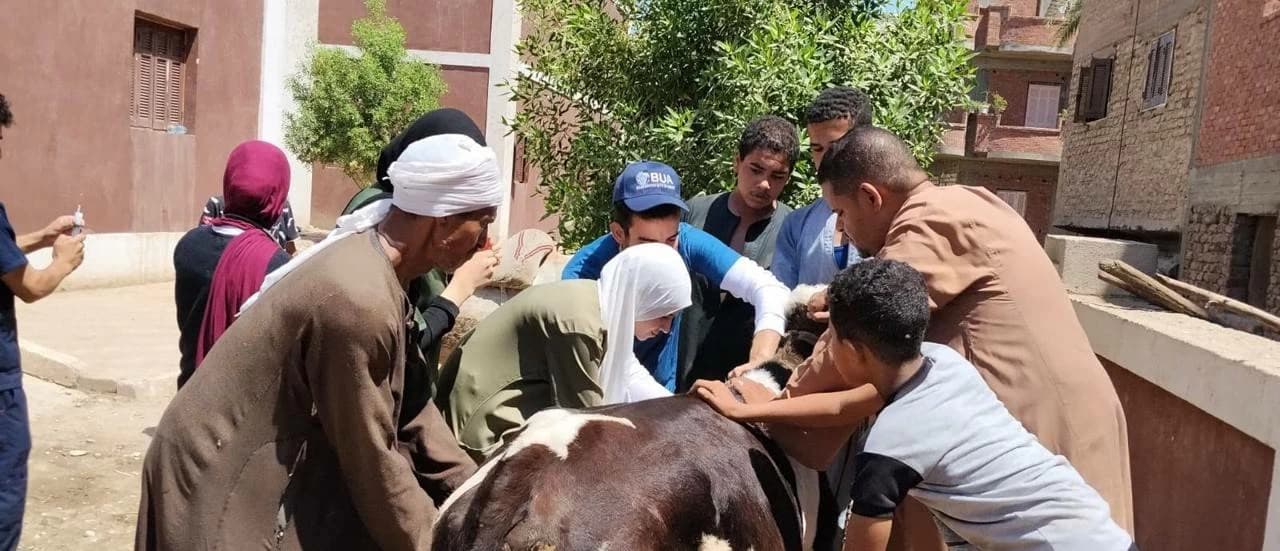 تقديم علاج مجاني ل1750 حالة في قافلة بيطرية بقرية الواسطى