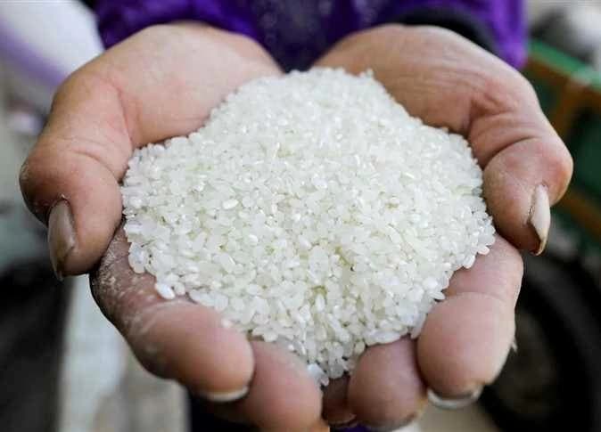 سعر الطن للأرز في الشرقية اليوم