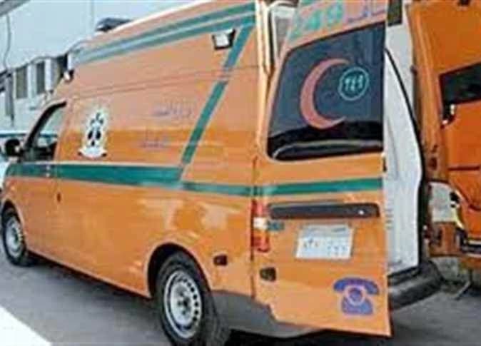 Minya crash injures 14 workers, 8 children