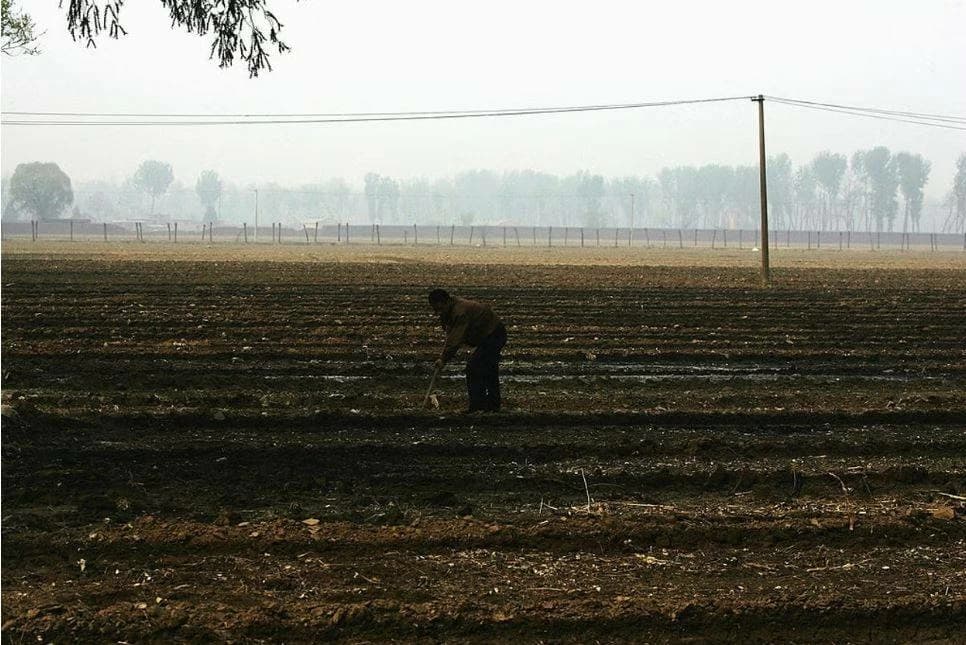 ذكاء اصطناعي يدمر مزارع صيني بـ25 فدانًا