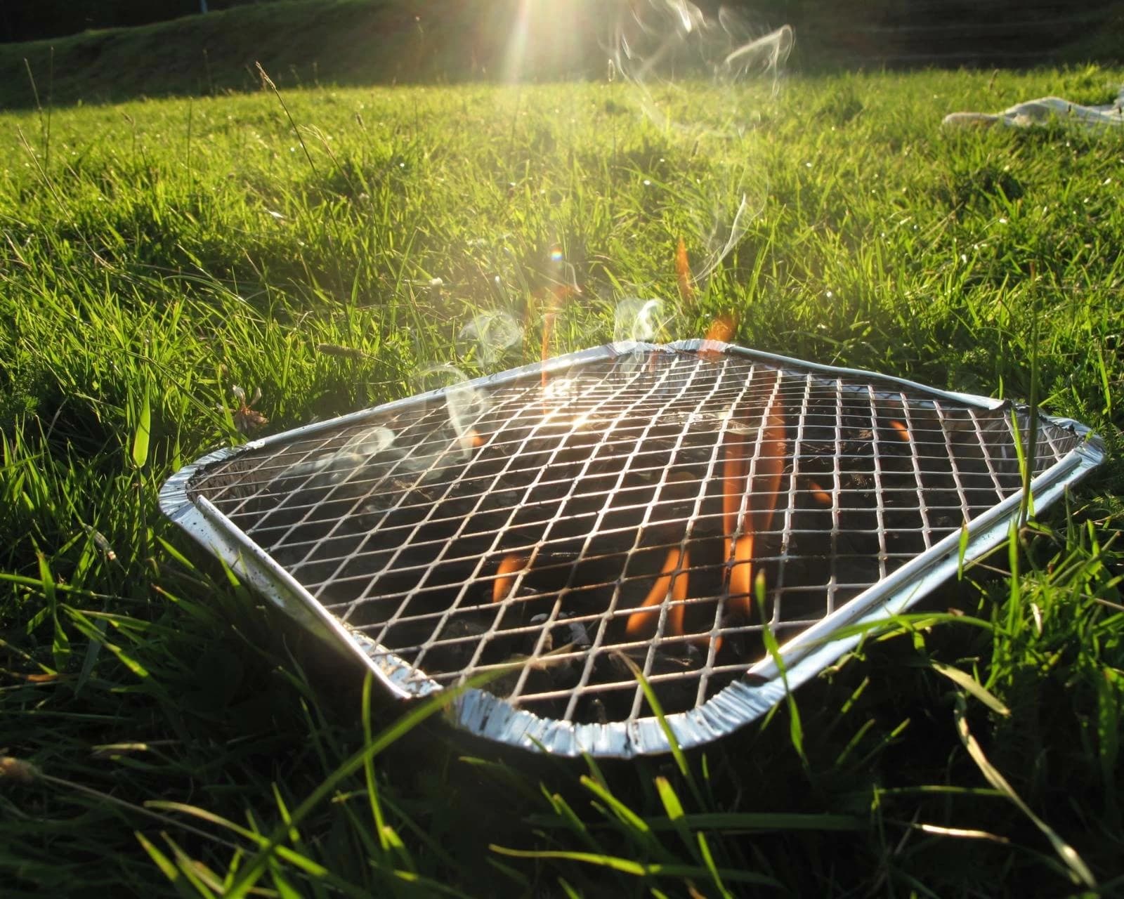 Britain Considers Ban on Disposable Barbecues