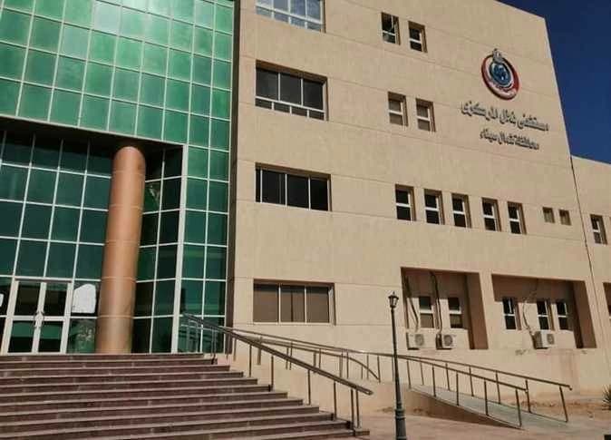 إصابة شخص بلدغة ثعبان في سيناء