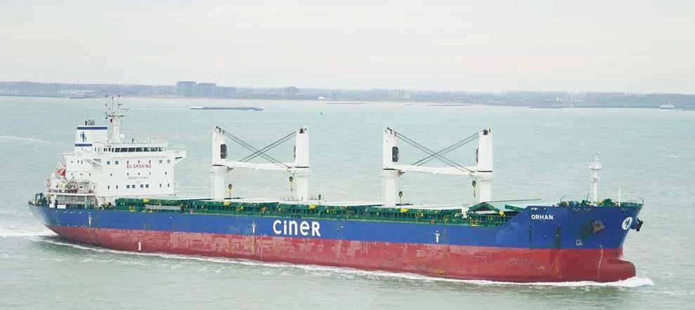 Ship damages Gulf of Suez reefs