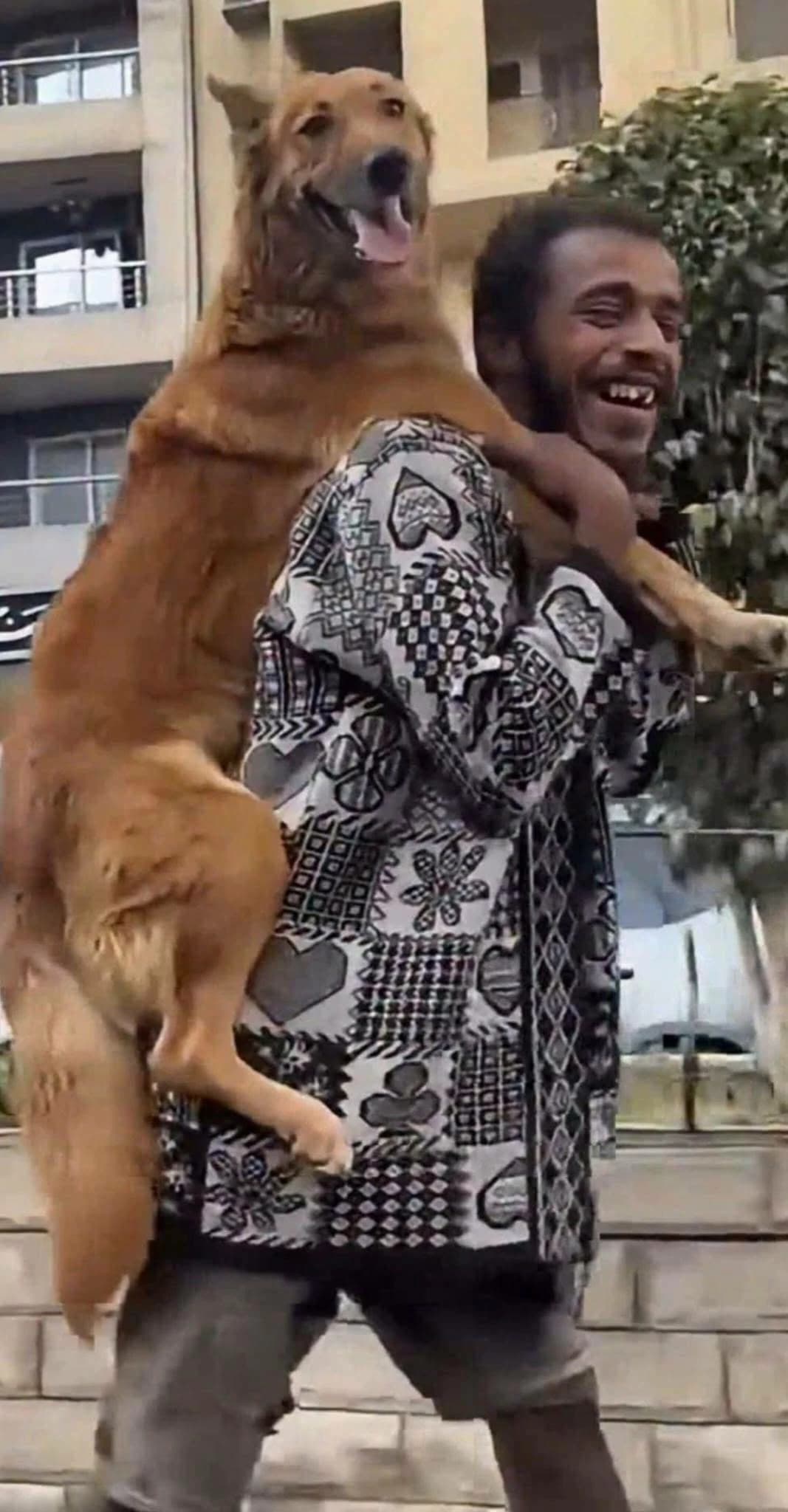Humanitarian Video Highlights Young Man and Dog