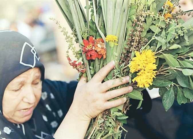 Fatwas: Green Branch on Graves