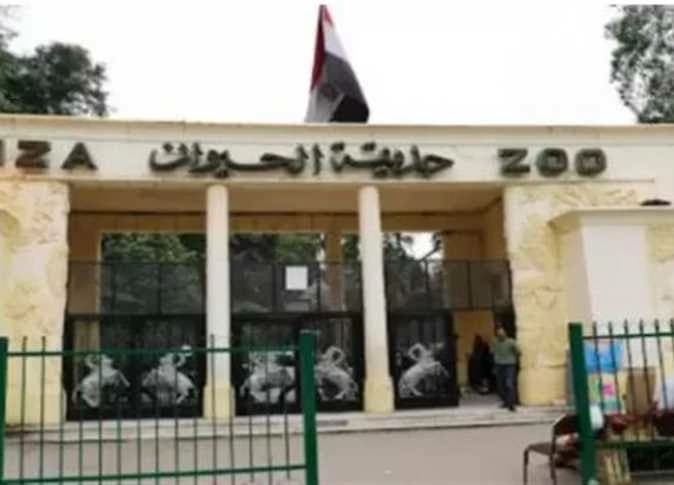 موعد افتتاح حديقة الحيوان بالجيزة 2026