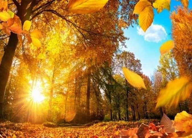 Summer 2026 ending soon autumn start date