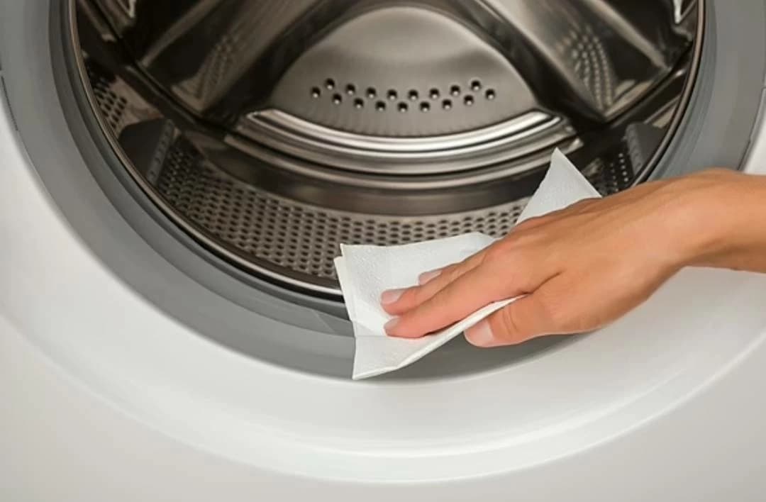 Eliminate washing machine mold in 10 minutes