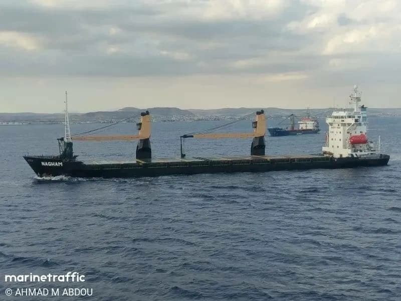 Red Sea ports handle 18,000 tons of cargo