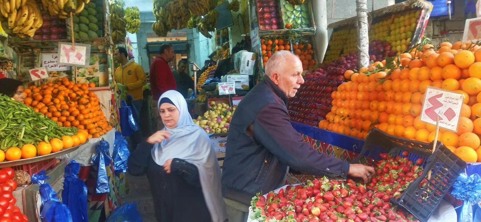 Friday vegetable prices in Marsa Matruh