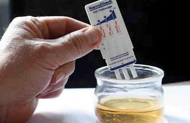 Doctor warns on synthetic drug dangers in Egypt