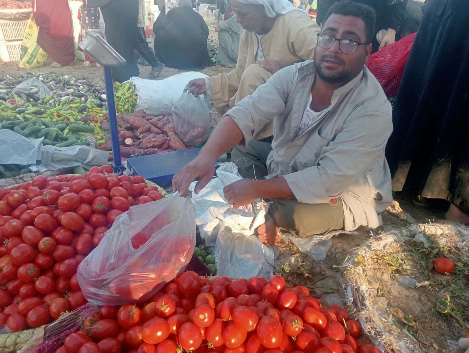 أسعار الطماطم والموز في أسواق الشرقية اليوم