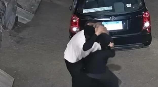 Woman defends husband in Qalyubia fight