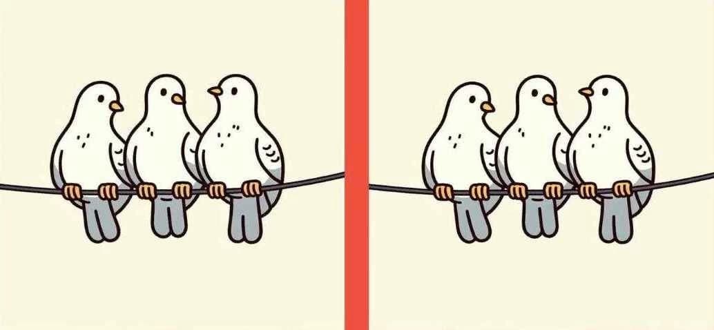 Identify 3 differences between the dove images
