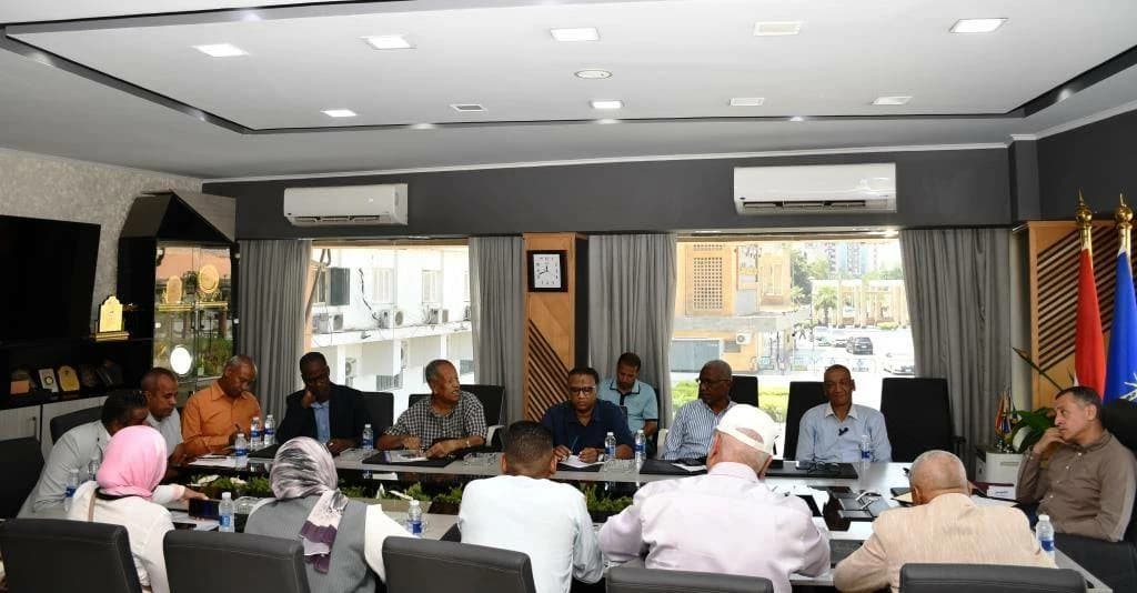 Aswan Gov Details Plans to Improve Living Standards