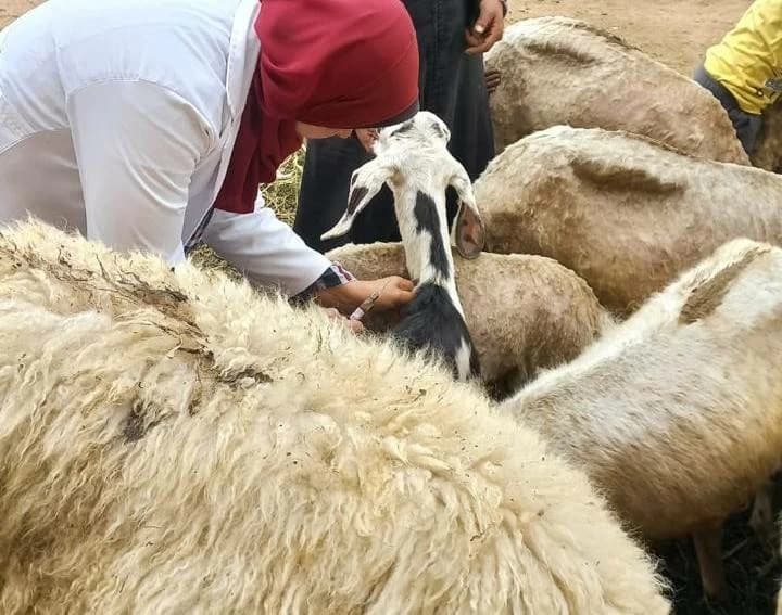 الحملة الوطنية الثانية للتحصين في الجيزة غدًا