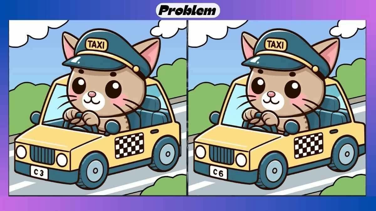 Detective Cat: Spot 3 Differences