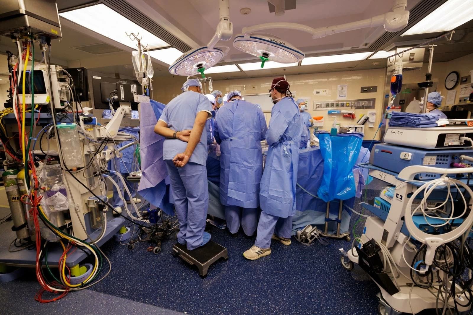 First Ever Pig Kidney Saves Patient Without Dialysis