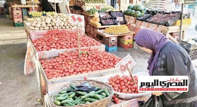 Minya Agriculture Explains Tomato Price Surge