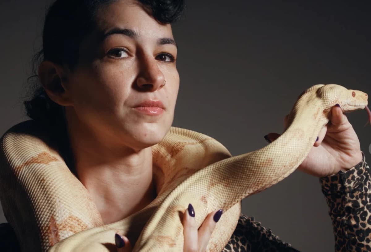 Princess snake joins Met auditions