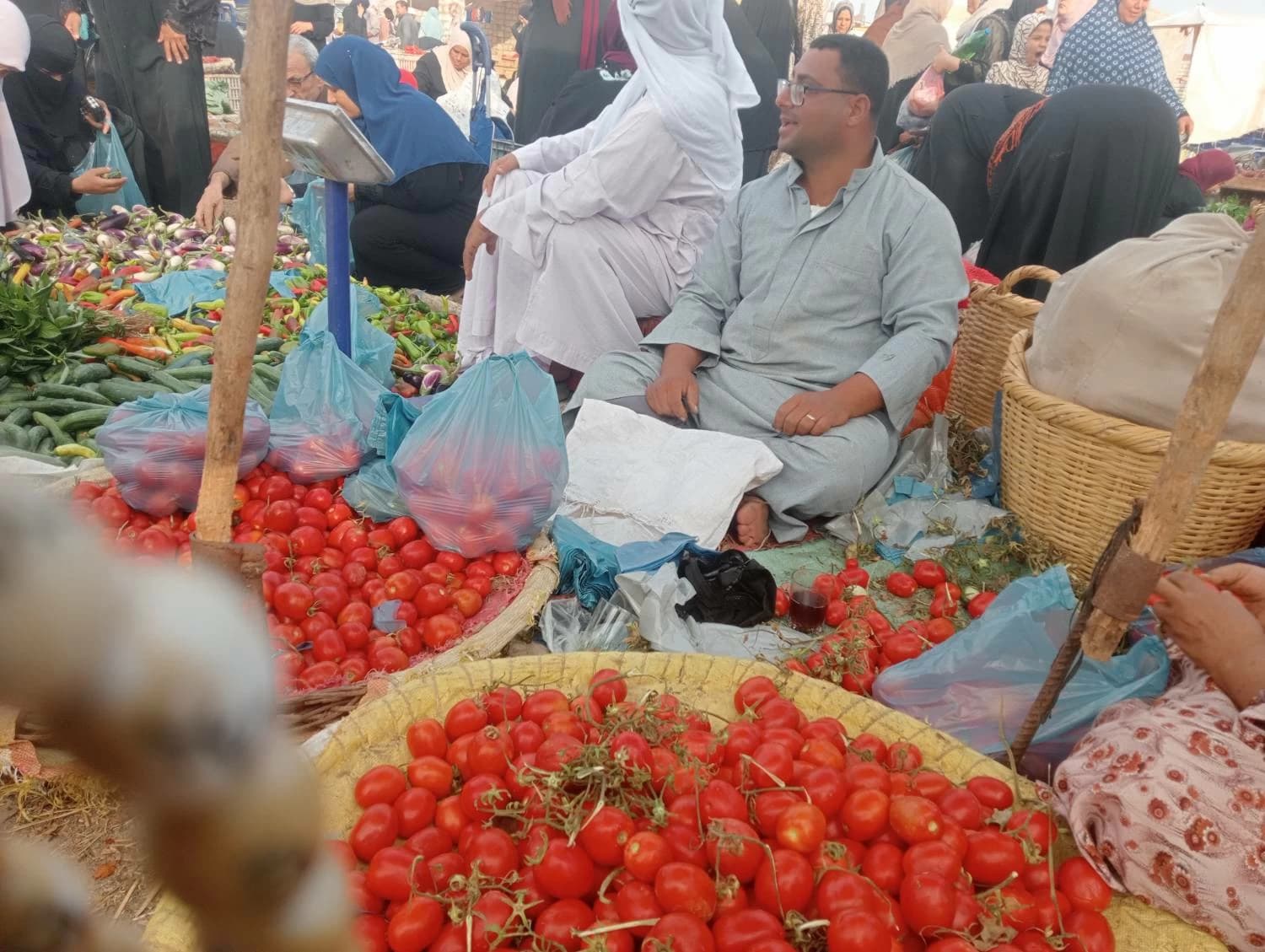 سعر الطماطم 30 جنيهًا في أسواق الشرقية