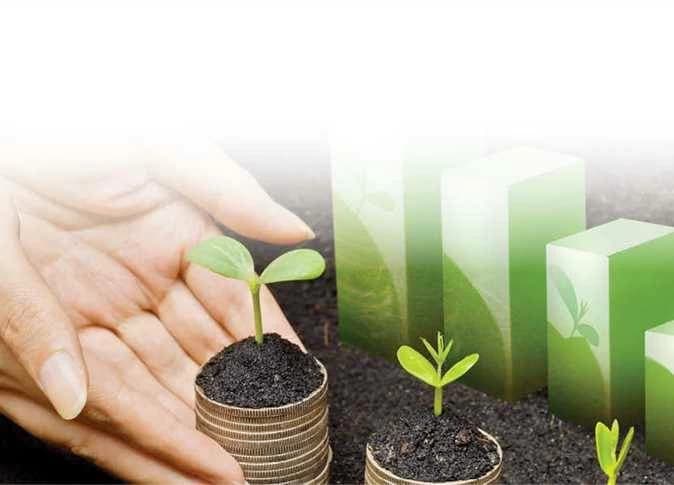 Energy of Parliament: Investment and Efficiency Tips