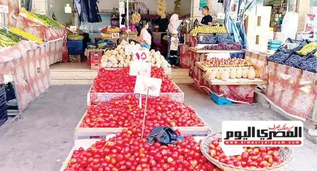 أسعار الطماطم والخضروات في المنيا اليوم