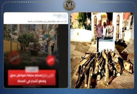 توضح قضية قطع الأشجار في الغربية وضبط 3 متهمين