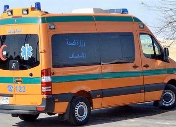 Six killed, two injured in Luxor pickle factory electrocution