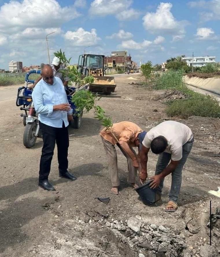 Sharqiya Enforces Tree-Cutting Ban