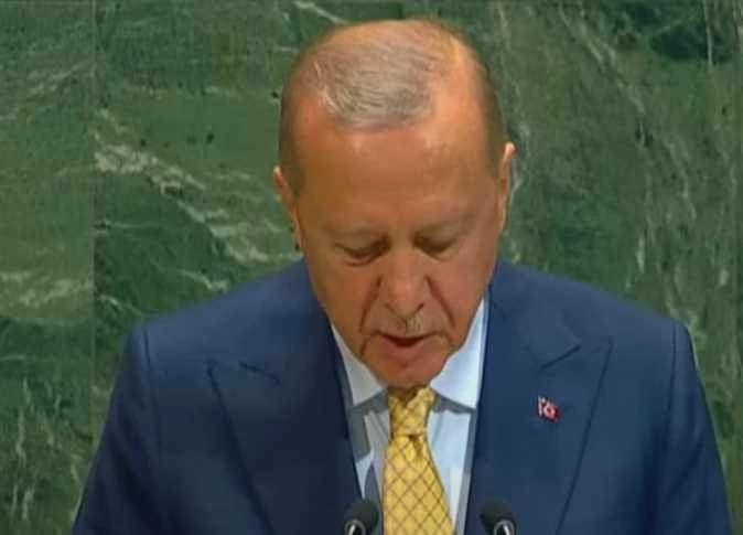 أردوغان يدعو إلى إلغاء حق النقض في مجلس الأمن