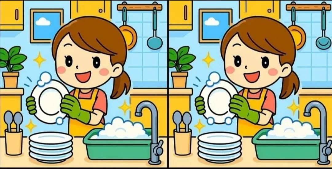 Find 3 differences in the dishwashing puzzle
