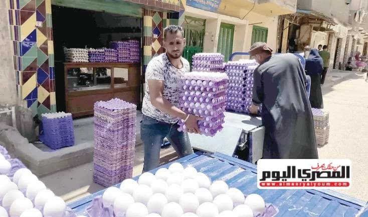 ارتفاع مفاجئ في سعر كرتونة البيض