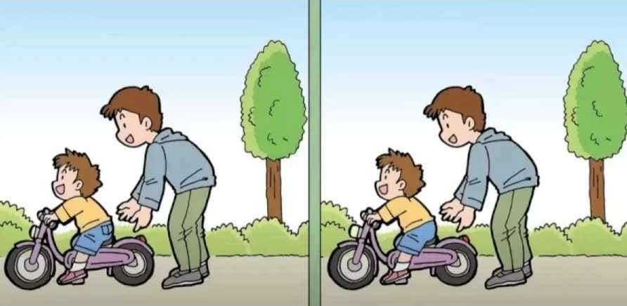 Find the 3 differences in the father-son puzzle