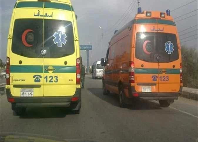 Couple dies, children injured in Sohag accident