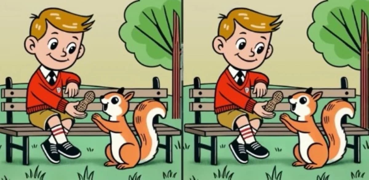 Spot the 3 differences in the child and squirrel puzzle