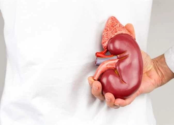 أمين الفتوى يوضح حكم نقل أعضاء المحكوم عليهم بالإعدام
