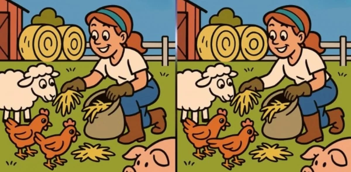 اكشف عن 3 اختلافات في لغز المزرعة