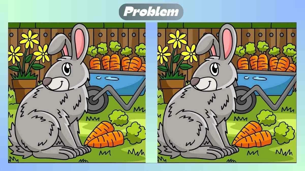 Find 3 differences in the rabbit image
