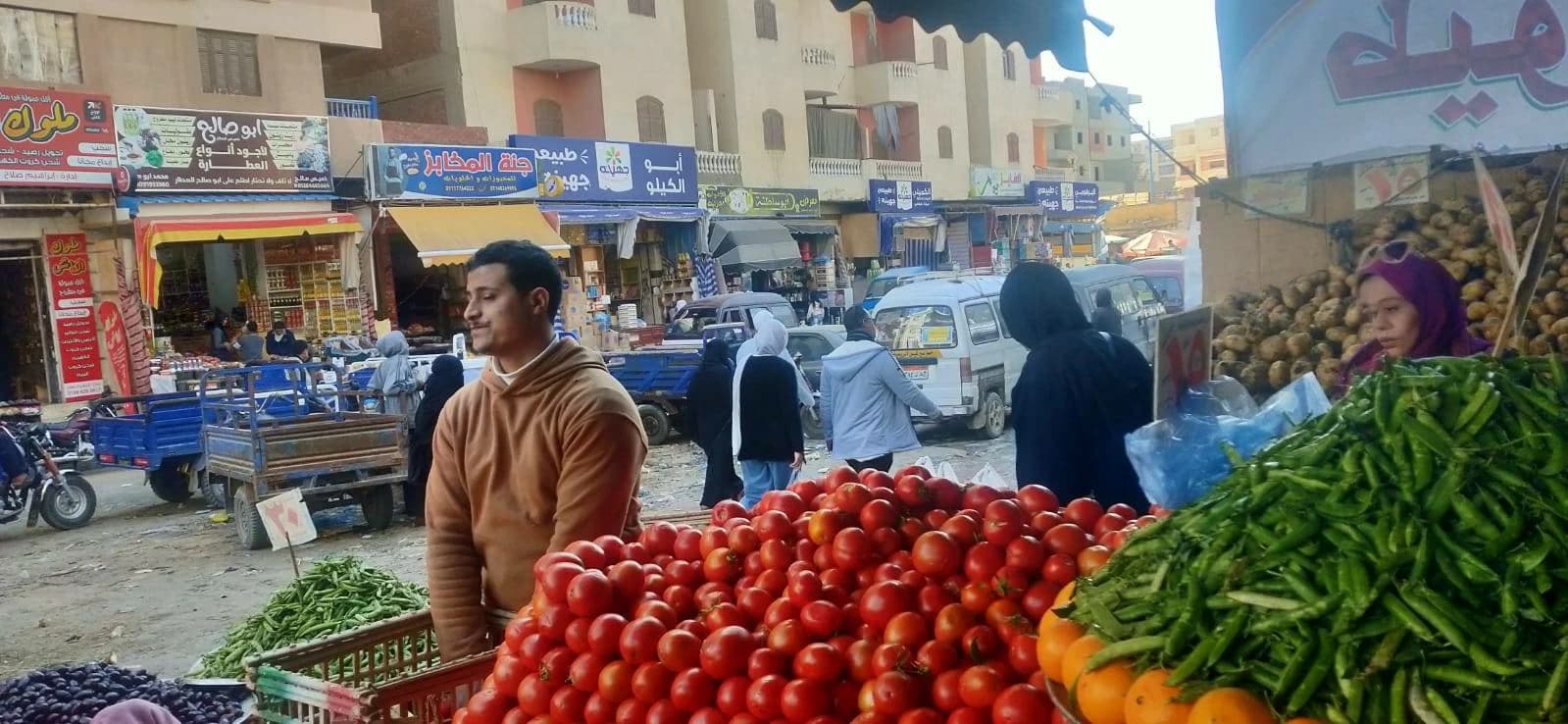 Story of spoiled tomatoes with borers