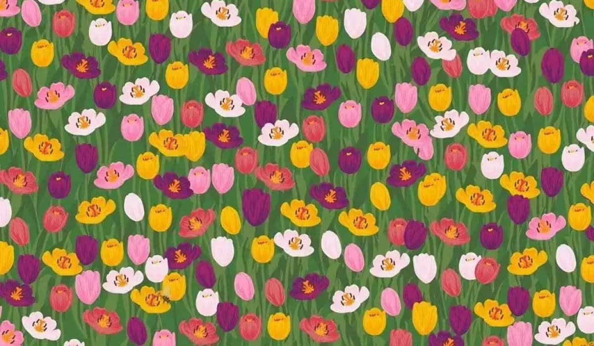 Find the Hidden Bee in 13 Seconds