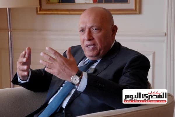 Egypt's Foreign Policy Priorities Unveiled