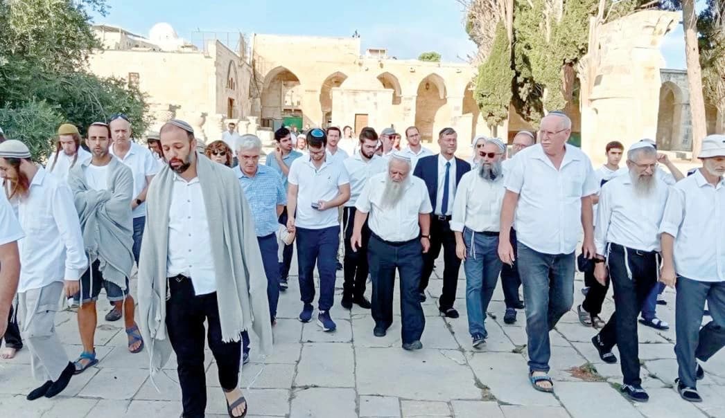 Al-Azhar Urges Action After Mosque Storming