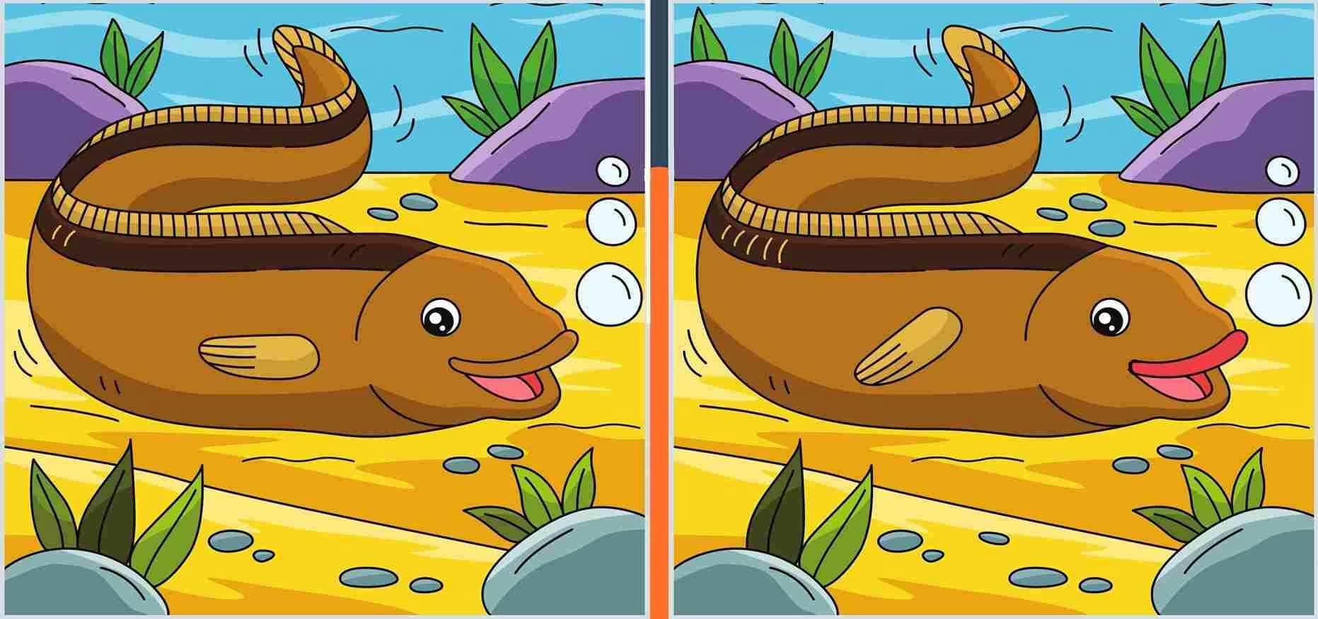 Eight differences in 19 seconds