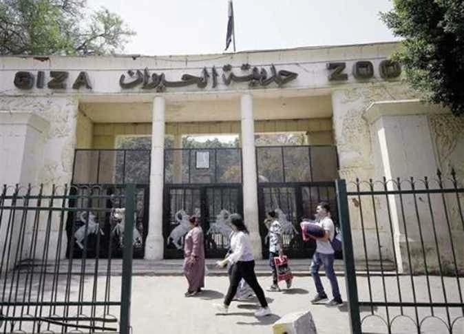 الجيزة للحيوان تستعد للافتتاح الجديد