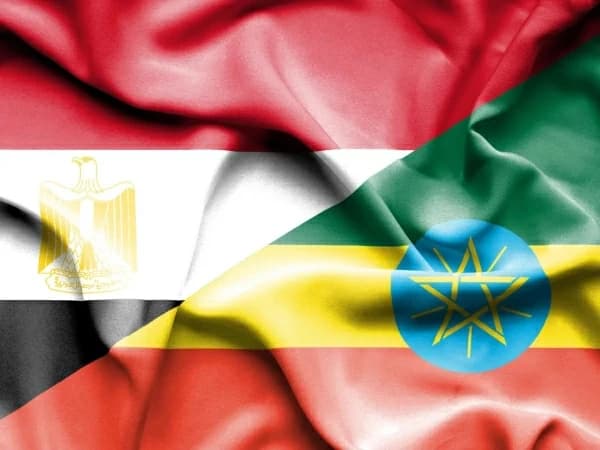 مصر تحدد دبلوماسيا إثيوبيا غير مرغوب فيه