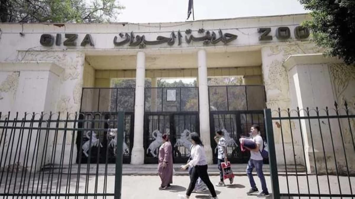 Giza Zoo Reopens by 2026