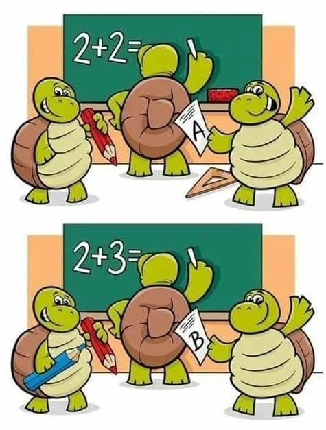 Find the 6 differences in the turtle puzzle