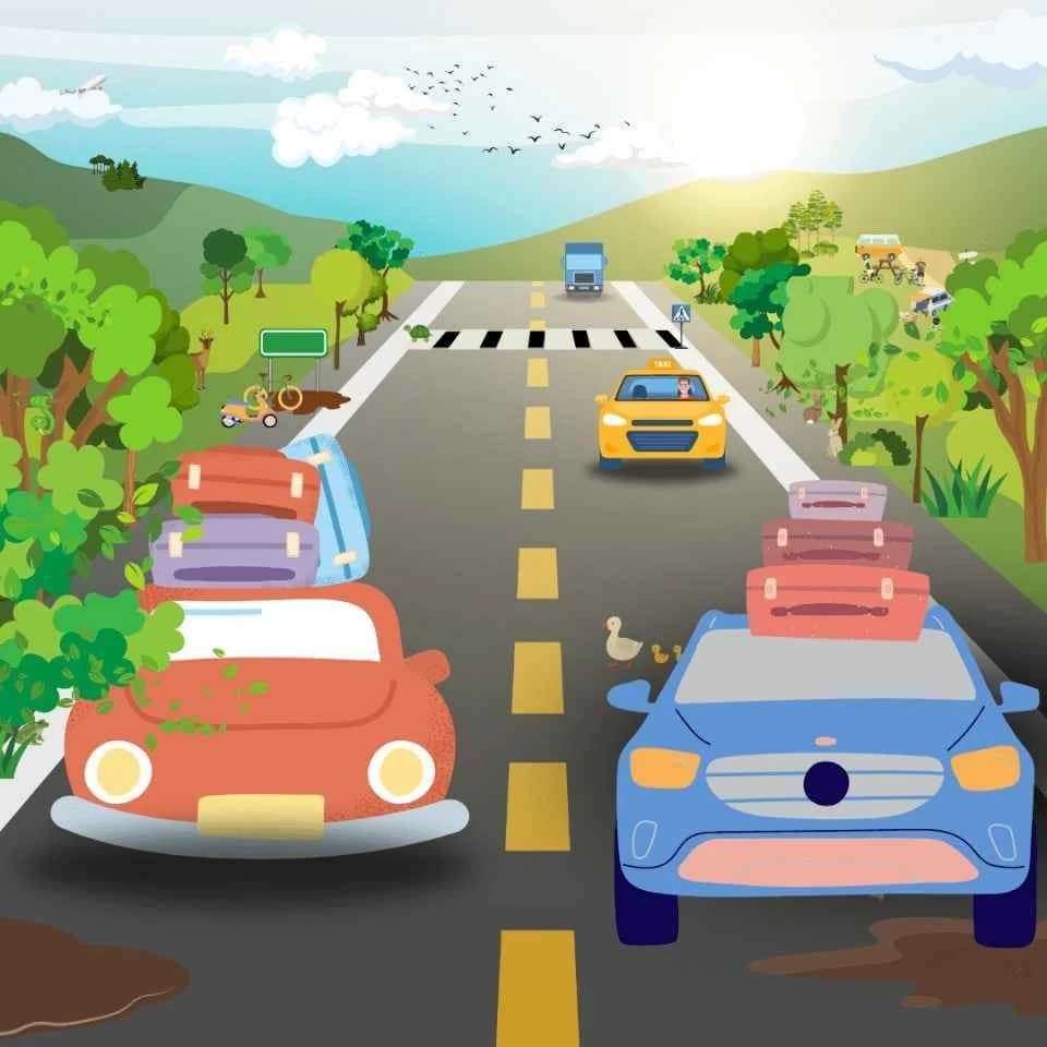 Locate the frog on the road in 5 seconds