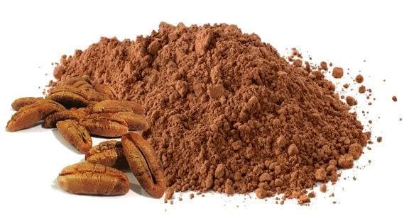 استخدامات غير متوقعة لنواة البلح في المنزل